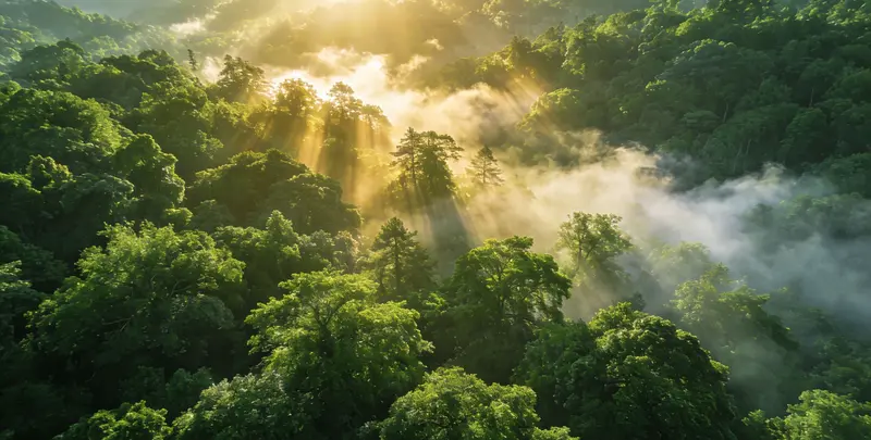 湛江肺癌11基因检测组织版图片1